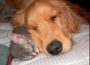 开云平台-复仇的火箭与足球场的莫兰特，平行宇宙的体育英雄日