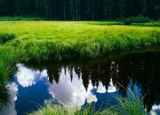 开云体育入口-冰封绝杀！伦纳德鏖战边陲，一球封神定天山