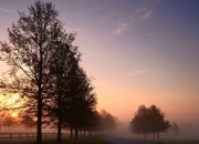 开云-棋局之眼，山西虎口脱险，约基奇成破辽铁骑的关键一子