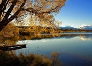 开云-战术风暴，奥地利式高压如何撕裂利物浦，京多安如何化身关键先生