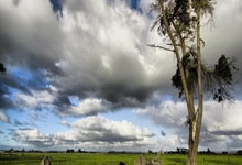 开云体育登录-巴尔韦德，打破战术棋盘的胜负手