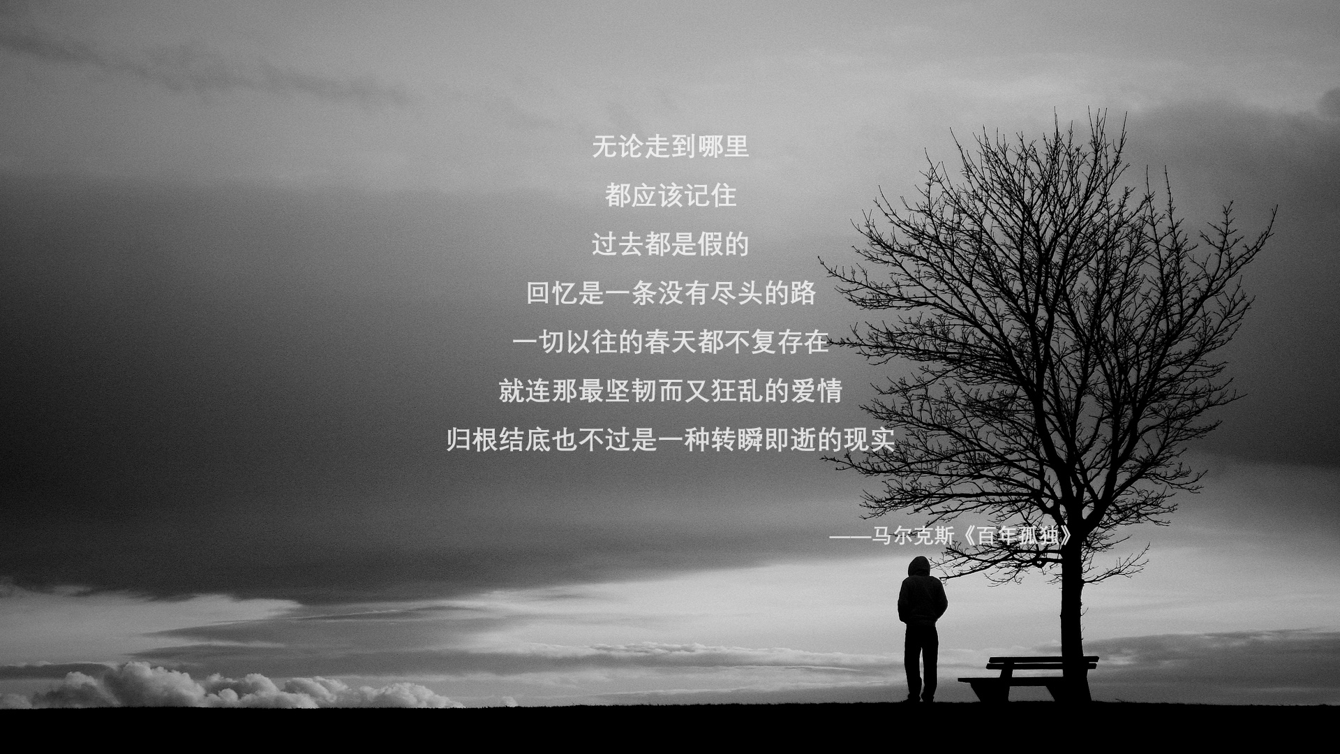 移民者之刃,当澳大利亚对阵塞内加尔,伊布精神如何在绿茵场持续制造文化杀伤