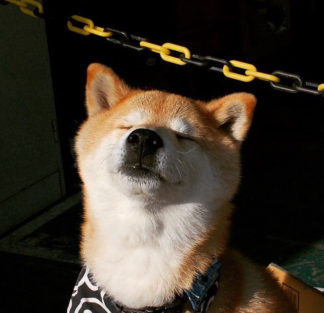 旧主新剑出鞘时，对岸月光照我还，当杜兰特踏破凤凰城