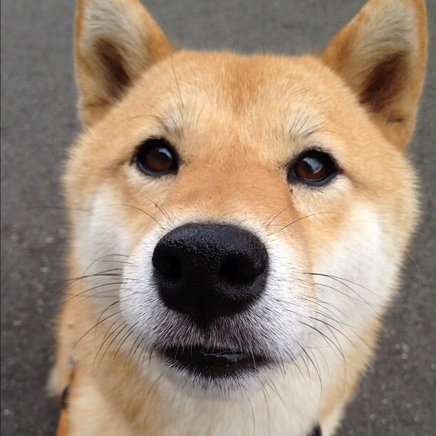 当曼城奏凯,约基奇登基,一个体育之夜的两种伟大