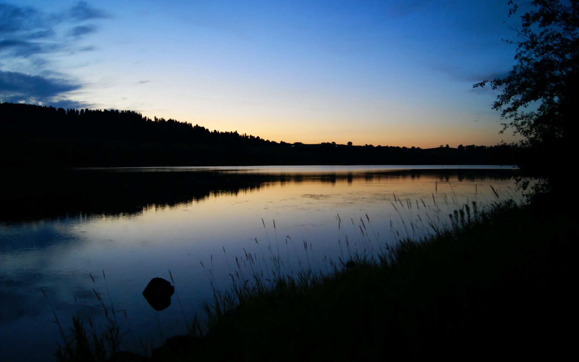 维尼修斯爆发撕裂防线,贝蒂斯绿白军团如何悄然粉碎葡萄牙偏见?
