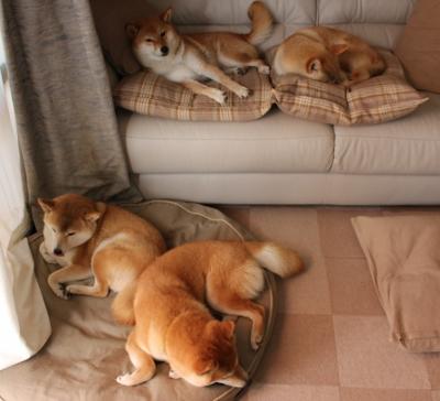 世纪变奏,三个决定性的足球瞬间