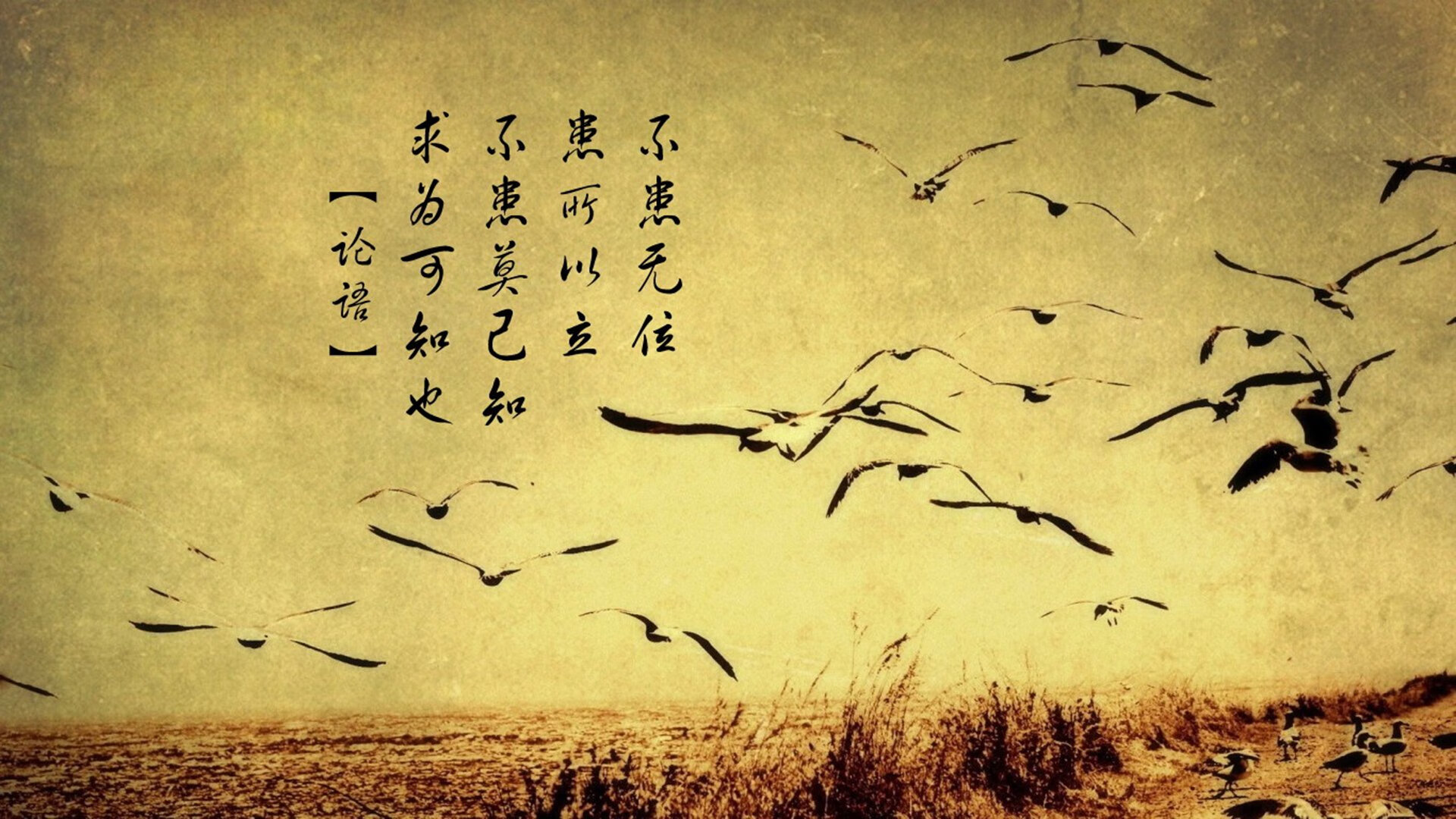 绿茵与硬木的交响，当欧冠绝平之夜遭遇雷霆万钧的逆转哲学