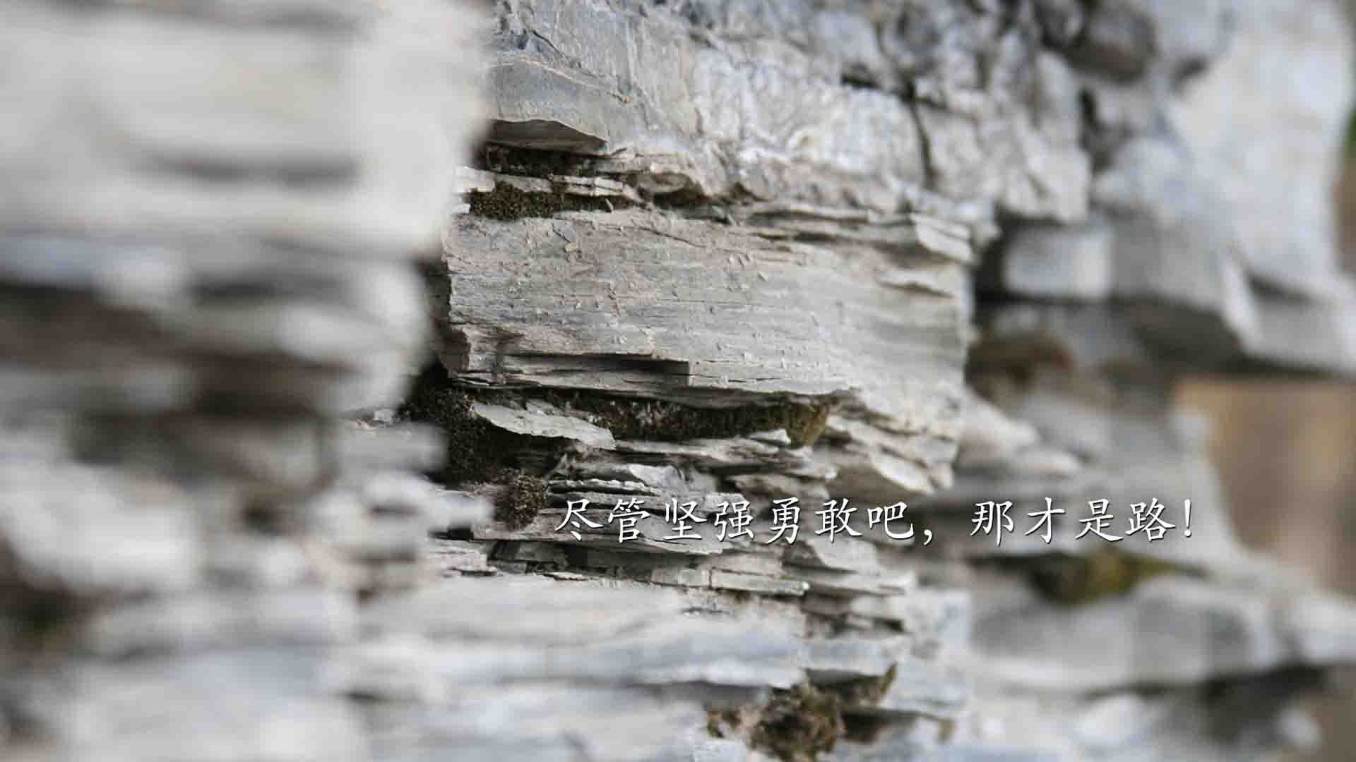 拉文关键时刻附体？76人飙分盛宴诠释何为团队关键时刻先生