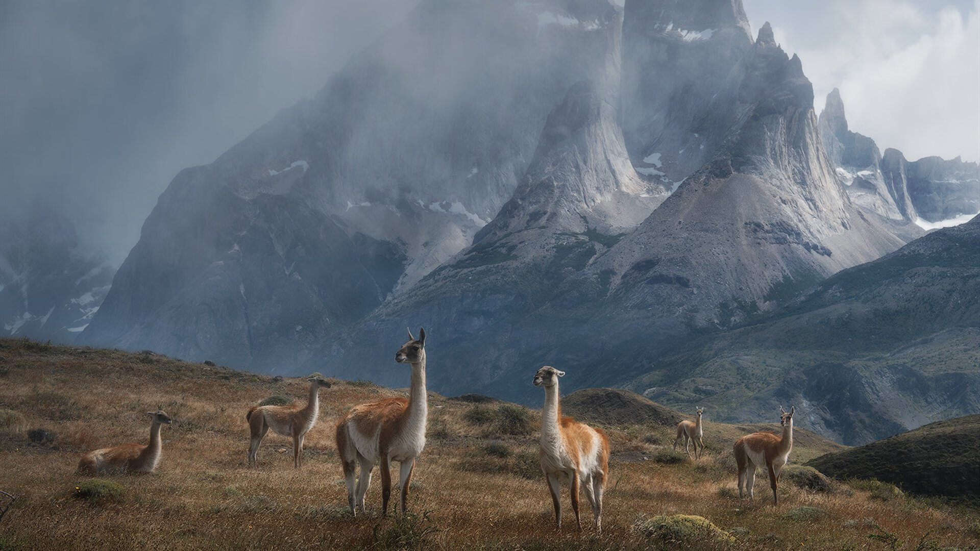 破壁之战，莫兰特末节救赎，骑士血染北京主场