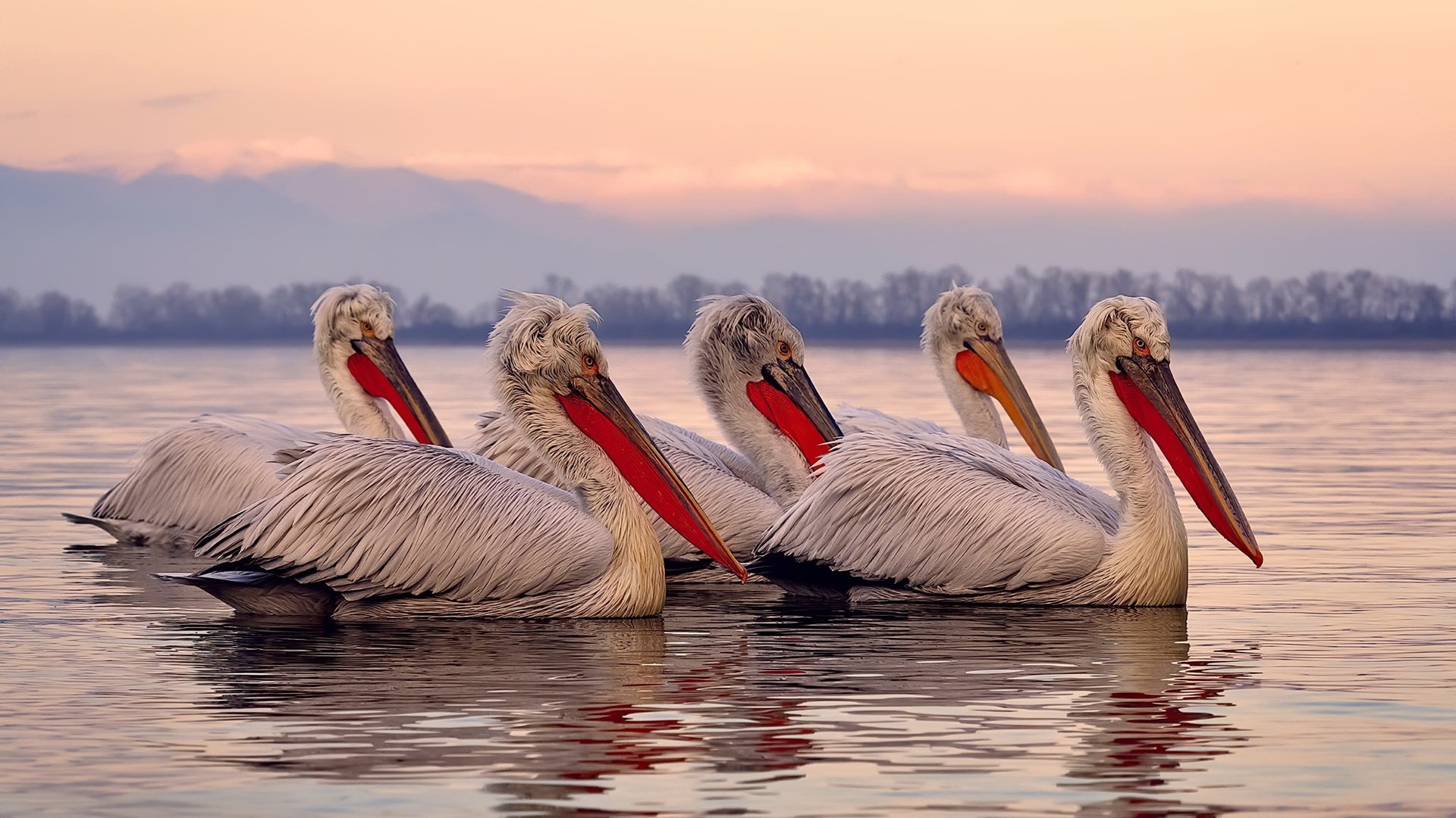 格列兹曼隔车对决，夜的换边奇迹，一人难敌一队的心