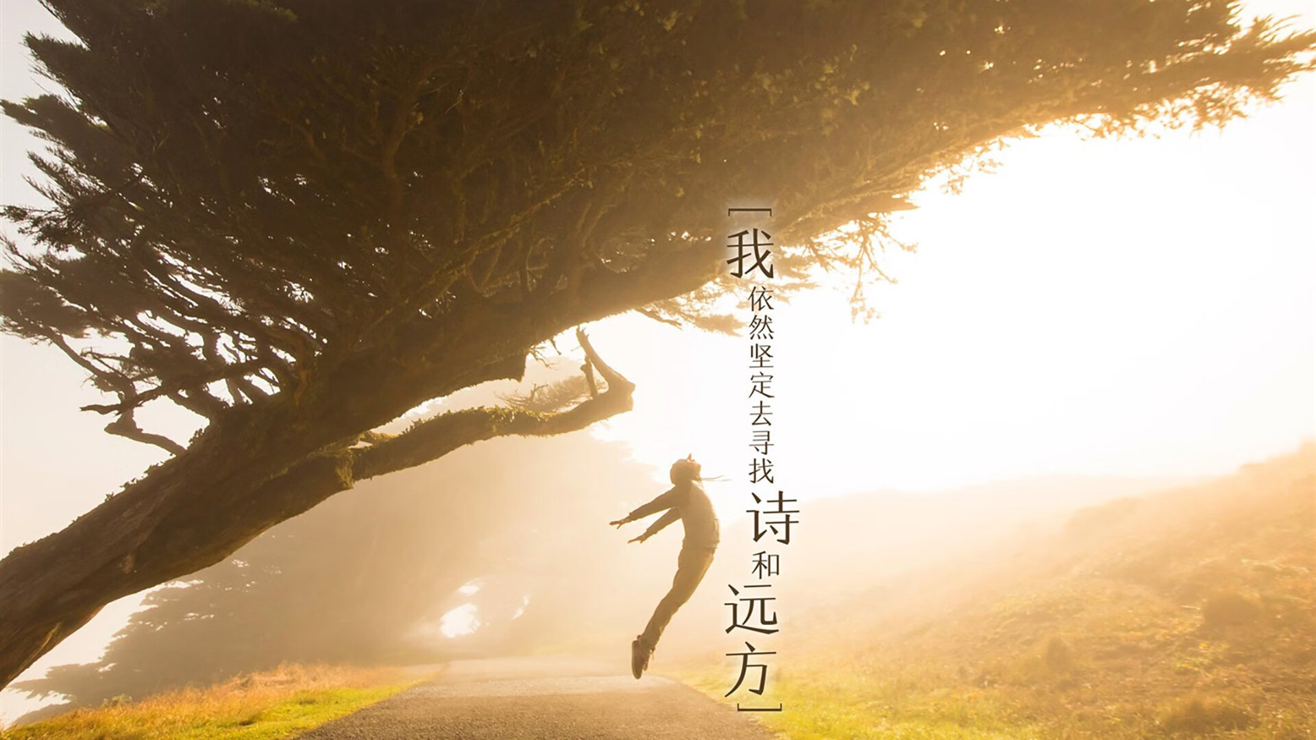 东方迷阵对垒汽车城铁壁，范弗利特致命一击诠释何为关键先生