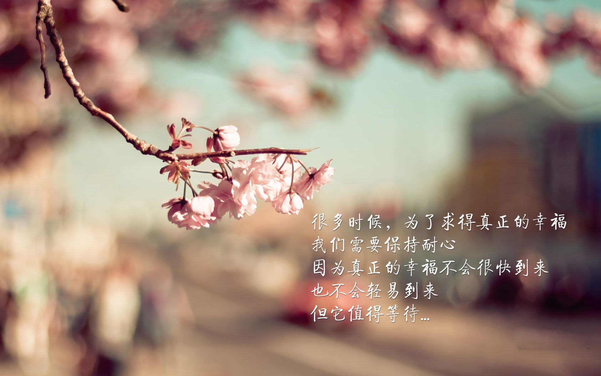欧冠烽火映汾河,山西猛虎胜勇士—记一场跨越时空的荣耀对决